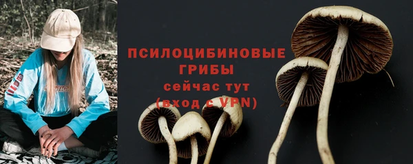 не бодяженный Богданович