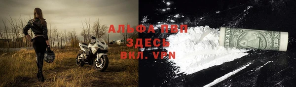 не бодяженный Богданович