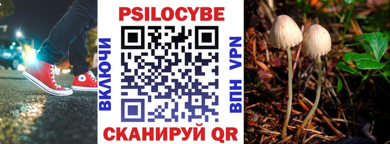 Купить закладки  Сорск  Псилоцибиновые грибы Magic Shrooms 